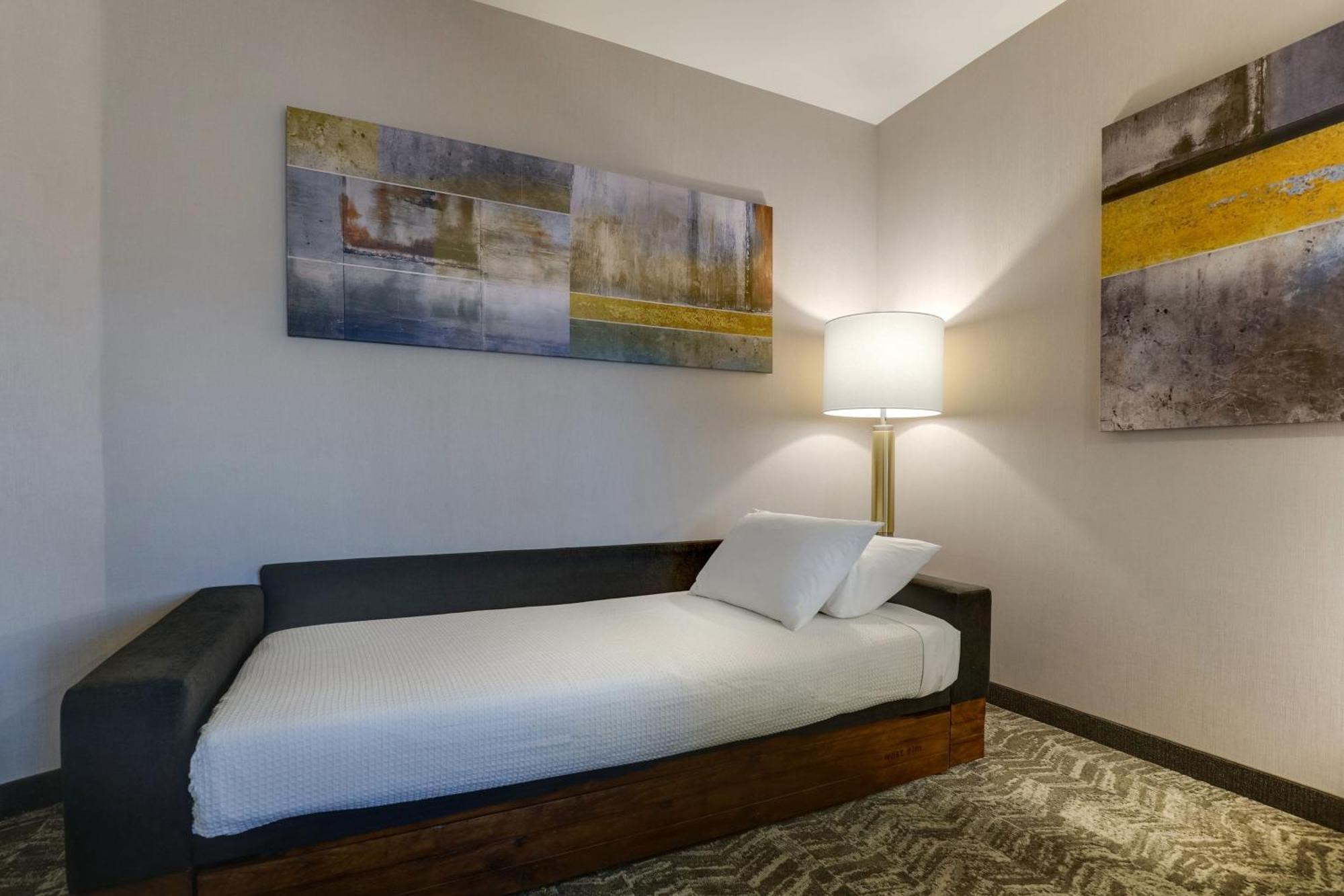 Springhill Suites By Marriott Cheraw Zewnętrze zdjęcie